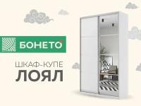 Шкаф-купе Бонето Лоял 2-х дверный ДСП/Зеркало 120х60х220 Белый снег