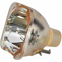 (OB) Оригинальная лампа без модуля для проектора SANYO POA-LMP115