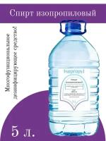 Абсолютированный изопропиловый спирт 99.9% НЕРС+, 5 л
