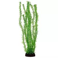 Растение аквариумное Laguna 4683, размер 40см