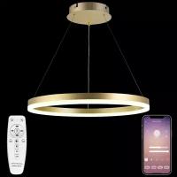 Подвесной светильник LED LIGHT LED LAMPS 81296 Natali Kovaltseva