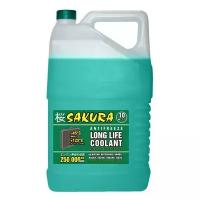 Антифриз Sakura Long Life Coolant зеленый -45°С 10 кг