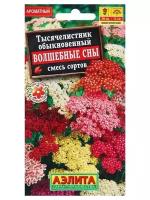 Семена Тысячелистник Волшебные сны смесь сортов 0,05 гр