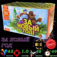 Фейерверк ЕС502 За Новый год! 1,0