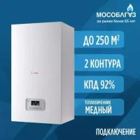 Котел газовый настенный двухконтурный Protherm Пантера 25 KОV - 25 кВт