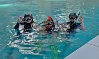 Сертификат Программа Discover Scuba Diving для 1 чел. в группе, вар.Б (закрытая вода) (Свердловская область)