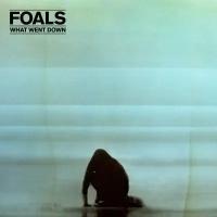 Компакт-диск Warner Foals – What Went Down (CD + DVD)