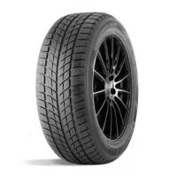 Шины 255/50 R19 Doublestar DW09 107T