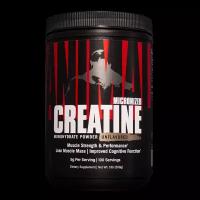 Animal Creatine Powder Витаминно-минеральный комплекс порошок по 500 г банка 1 шт