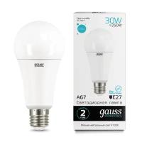 Лампа Gauss Elementary A67 30W 2360lm 4100K E27 LED