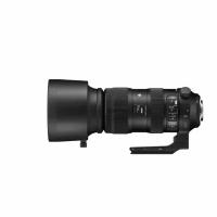 Sigma AF 60-600/4.5-6.3 DG OS HSM (Sport) for Canon //