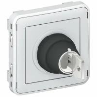 Legrand Plexo Серый Механизм Выключатель с ключом 2-х позиционный 2НО 069534