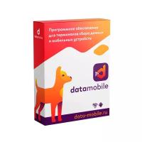 DataMobile, версия Стандарт Pro - подписка на месяц