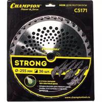 Нож с зубцами из твердого сплава C5171 CHAMPION Strong 36/255/25,4 (SRM-330ES/SRM-350ES,4605)