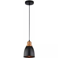 Подвесной светильник Eurica A4248SP-1BK Arte Lamp