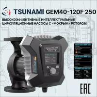 Циркуляционный Насос TSUNAMI GEM 40-120F 250 с Частотным Регулированием