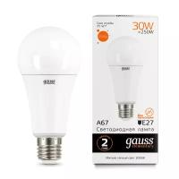 Лампа Gauss Elementary A67 30W 2320lm 3000K E27 LED