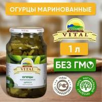 Огурцы маринованные Vital Армения, 1 литр (соленья)