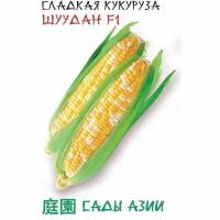 Сады азии Семена Кукуруза Сладкая Шудан 10 шт Сады Азии