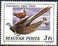 (1977-018) Марка Венгрия 