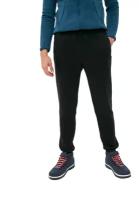Спортивные мужские брюки с начесом утепленные Tagerton, размер 58