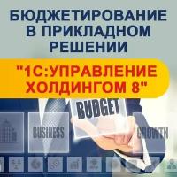 Видеокурс бюджетирование В прикладном решении 1С управление холдингом 8