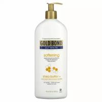 Gold Bond, Ultimate, Skin Therapy Lotion, Softening, Shea + Coconut Oil & Cocoa Butter, 20 oz (566 g)