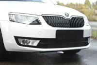 Зимняя заглушка решетки переднего бампера для Skoda Octavia A7 2014+ | шагрень