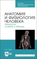 Брин В. Б. Анатомия и физиология человека. Физиология в схемах и таблицах. Учебное пособие для СПО