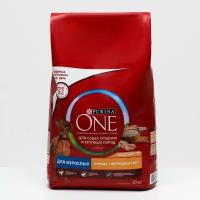 Purina ONE Сухой корм Purinа one medium/maxi для взрослых собак, курица/рис, 10 кг