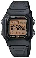 Наручные часы CASIO W-800HG-9A