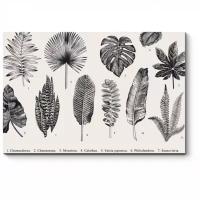 Модульная картина Picsis Гербарий из экзотических растений (30x20)