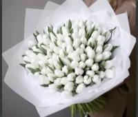 Тюльпаны Белые 101 шт., красивый букет цветов, шикарный, премиум букет тюльпанов