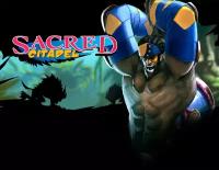 Sacred Citadel, электронный ключ (активация в Steam, платформа PC), право на использование