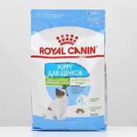 Royal Canin Сухой корм RC X-Small Junior для щенков, 3 кг