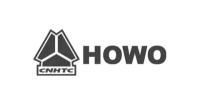 HOWO CK8440 CK8440_Вкладыши WD615 Евро2 шатунные ремонтные 0,25 (комплект 12 шт.) HOWO VG1560030033/34