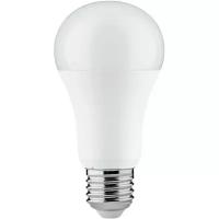 Лампа Paulmann E27 100Вт