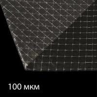 Greengo Плёнка полиэтиленовая, армированная леской, толщина 100 мкм, 10 × 2 м, УФ