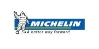 MICHELIN 685444 Michelin 255/40 R18 Pilot Sport 4 99Y