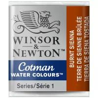 Набор акварели художественной Winsor&Newton Cotman, малая кювета, 3шт., жженая сиена ( Артикул 338027 )