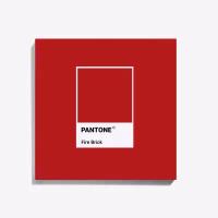 Самоприкрепляющаяся картина PhotoFrame коллекция PANTONE - Fire brick - Огнеупорный кирпич арт.PANT-014