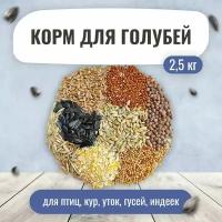 Корм для голубей 2.5 кг. Зерносмесь для птиц кур, уток, гусей, индеек