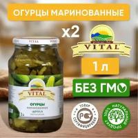 Огурцы маринованные Vital Армения, 2 литр (соленья)