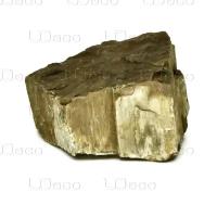 UDeco Fossilized Wood Stone M - Натуральный камень Окаменелое дерево