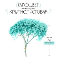 Школа талантов Сухоцвет «Гортензия крупнолистовая», голубая, 1 веточка 60 - 80 см в упаковке