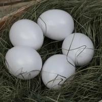 Яйцо искусственное подкладное, для кур, 1 шт., белое