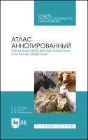 Рязанова О.А., Скалон Н.В., Позняковский В.М. 