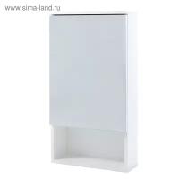 Зеркало-шкаф Вега 5002 белое, 50 х 13,6 х 70 см 4297106