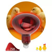 Лампа инфракрасная для растений и животных 250Вт E27 зеркальная рефлектор