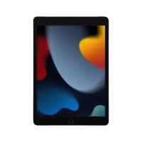 Apple iPad 10.2 (2021) 256Gb Wi-Fi Silver (Серебристый) (Global)